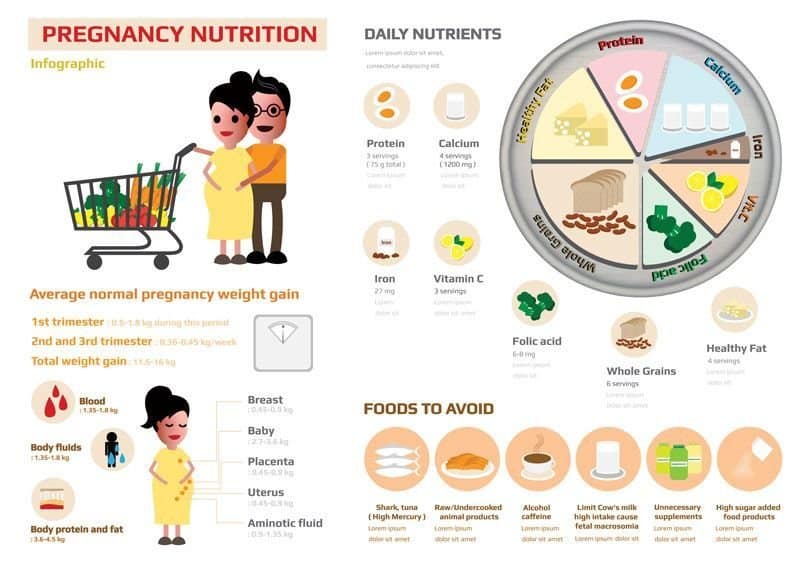 pregnancy nutrition infographic
