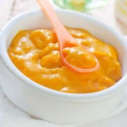 Chicken and Carrot Baby Food Puree